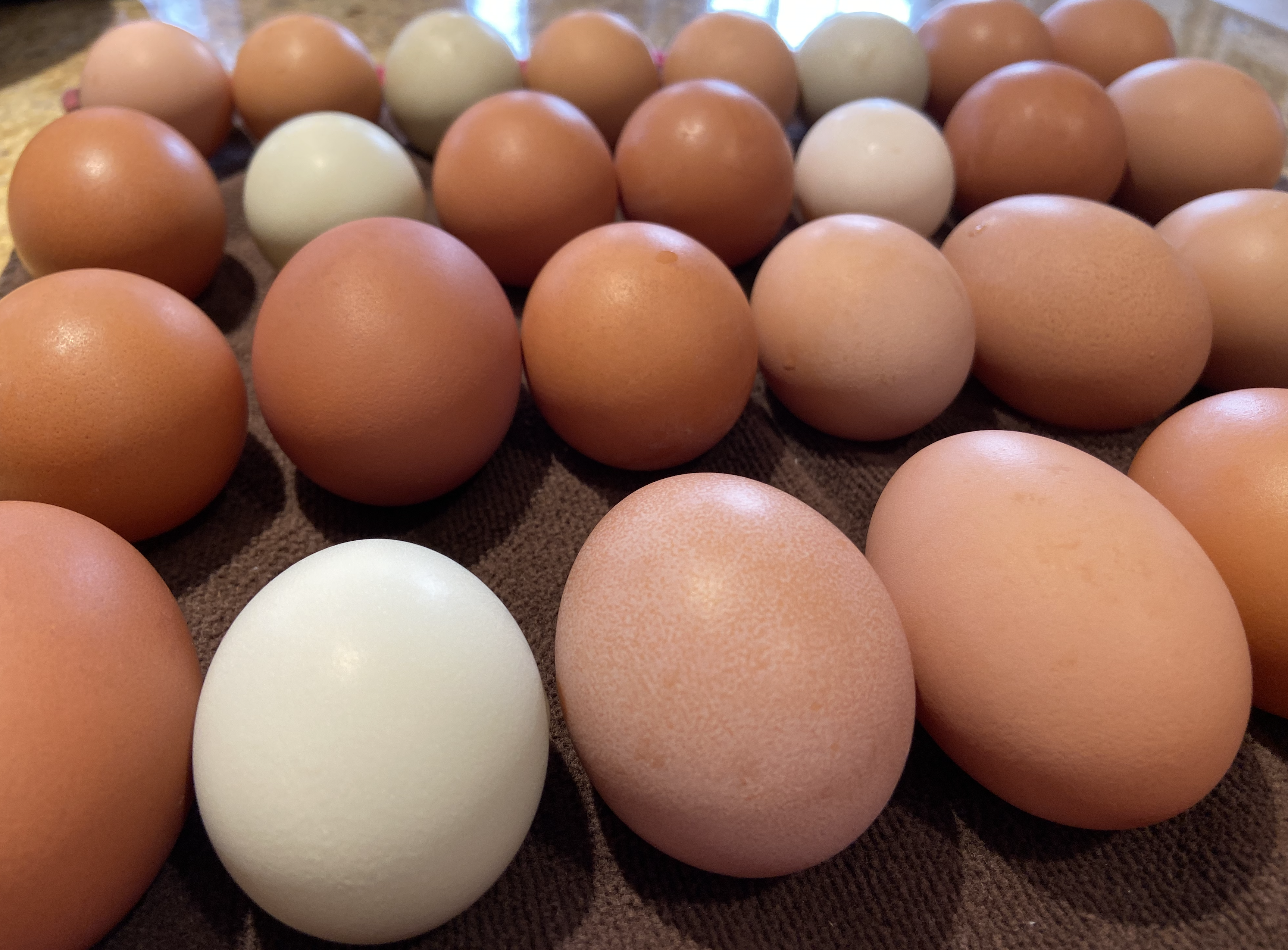 Screen Shot 2021-02-15 at 6.53.59 PM